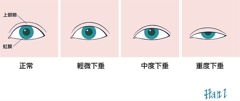 相片1_edited.jpg