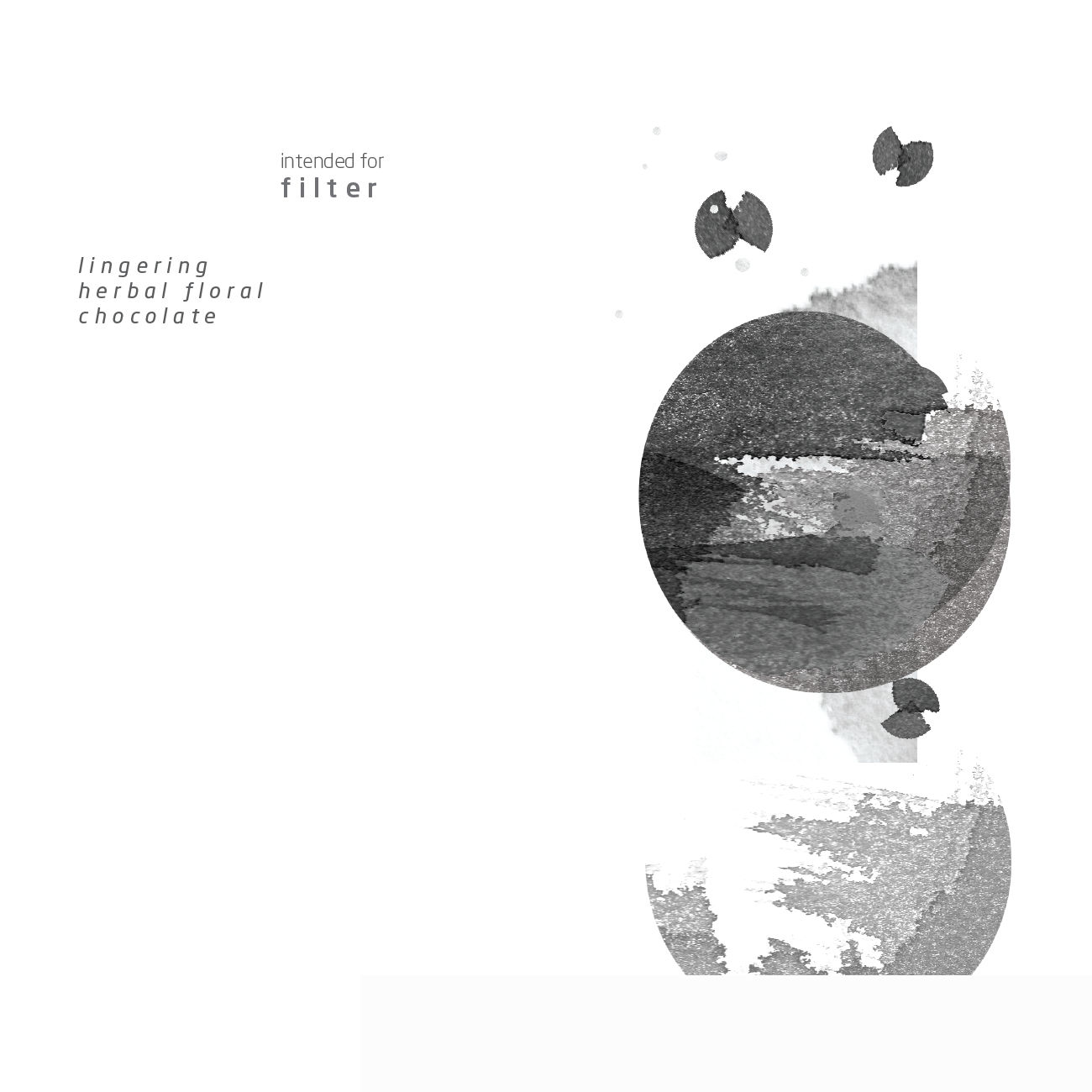 Tima Guji ETHIOPIA - 200g Filter Beans