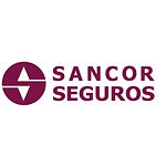 Sancor-Seguros-1_edited.jpg