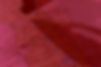 Background Image of Map