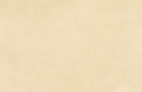 cc_fond recto sans taches.jpg