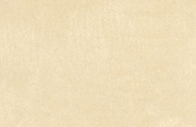 cc_fond recto sans taches.jpg