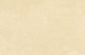 cc_fond recto sans taches.jpg