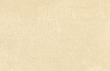 cc_fond recto sans taches.jpg