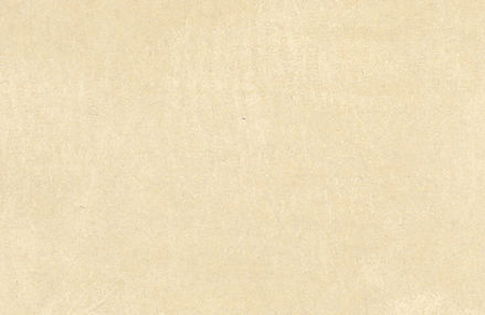 cc_fond recto sans taches.jpg