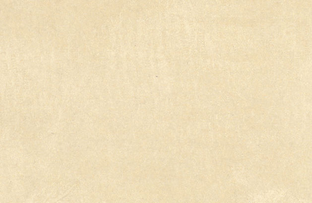 cc_fond recto sans taches.jpg