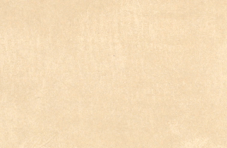 cc_fond recto sans taches.jpg