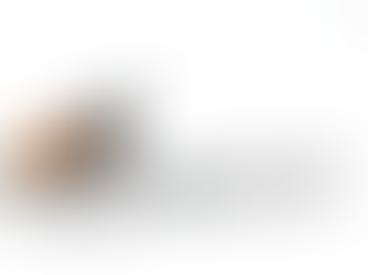 Motosierra STIHL MS 381