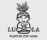 Copia de LOGO LULA CON FONDO.png