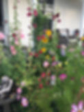 Cottage Graden 1.JPG