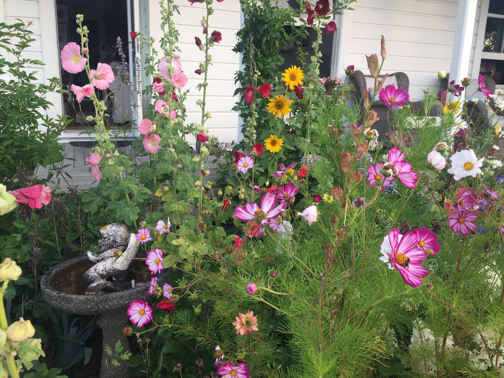 Cottage Garden.JPG