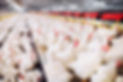 AdobeStock_234941728.jpeg