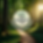logo TRP.png