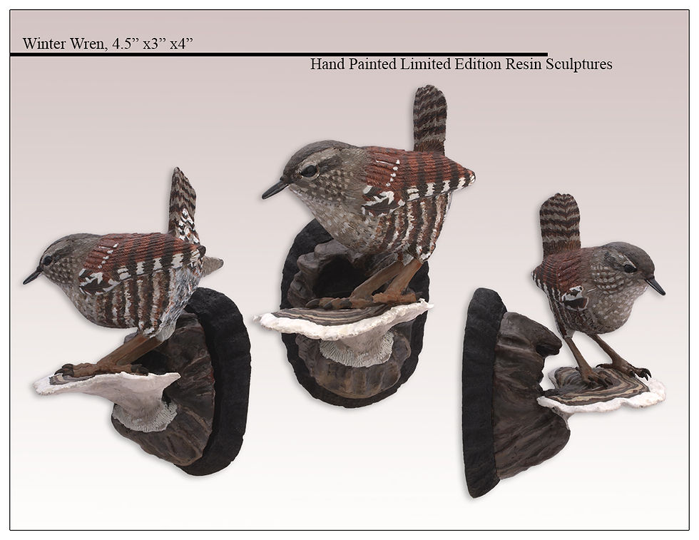 1WinterWren