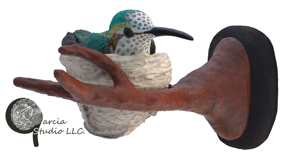 AnnasHummingbird