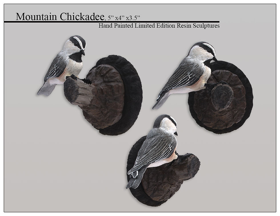 1MountainChickadee