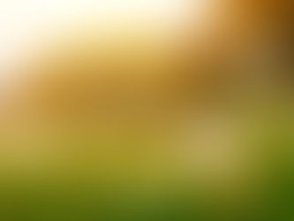 6 April 2026 Word by Senior Pastor, Pastor Darien Choo