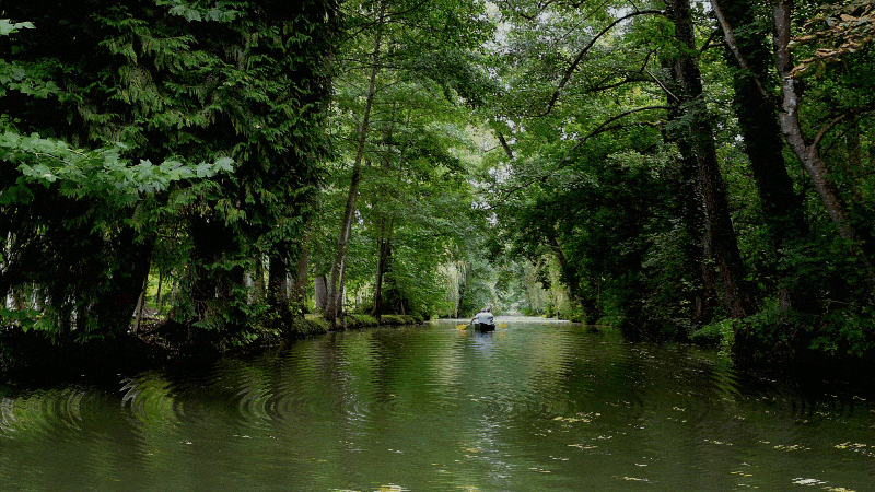 015. Le marais Poitevin