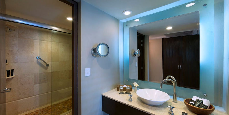 Deluxe OV Bathroom.jpeg