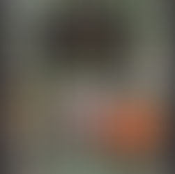 Ein wiedersehen in der Tintenwelt 