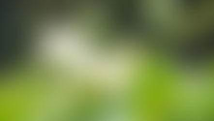 THÔNG BÁO KẾT QUẢ GÂY QUỸ CỨU TRỢ BÃO LỤT MIỀN TRUNG VN