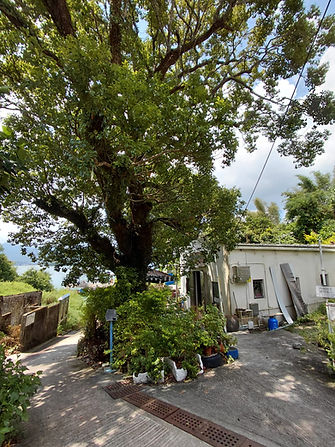 WhatsApp Image 2025-09-19 at 12.21.35.jpeg