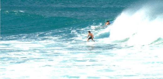 Surf & Spanish Course
