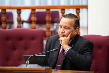 Parlamentario Endy Croes: DIFERENCIA ENTRE MEP Y AVP