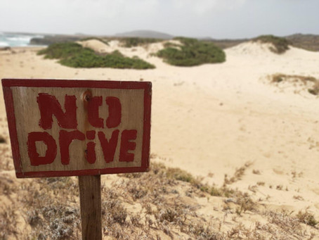 GOBIERNO DI ARUBA TA CONDENA DESTRUCCION DI NATURALESA