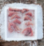 10 lb. Big Box Pacific red Snapper Fillet