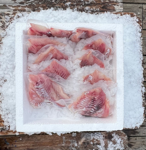 Big Box Pacific Red Snapper 10lbs | Giovanni's | Fresh Red Snapper