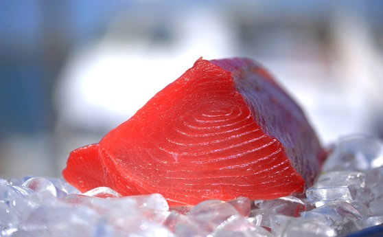 Sushi grade fish online