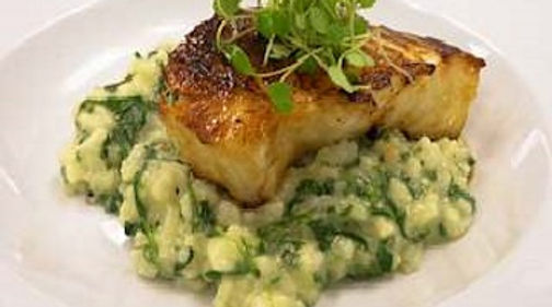 Chilean Sea Bass Cheeks Seared Red Miso Pesto Glazed
