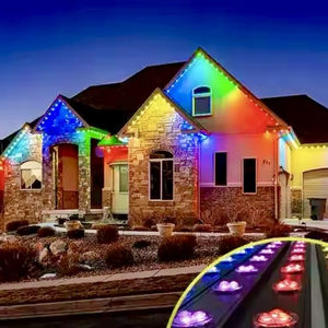 Decorative Holiday Lights