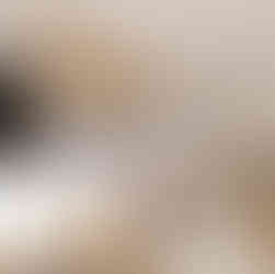 Vizualizace bytu Modřany