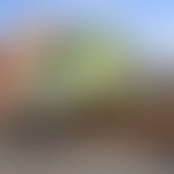 Prodej domu s velkým potenciálem, Karlovy Vary