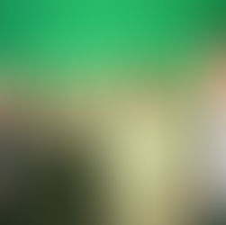 DIIV: EL SONIDO INDIE DE LA BANDA NEOYORQUINA LLEGARÁ A GUADALAJARA.