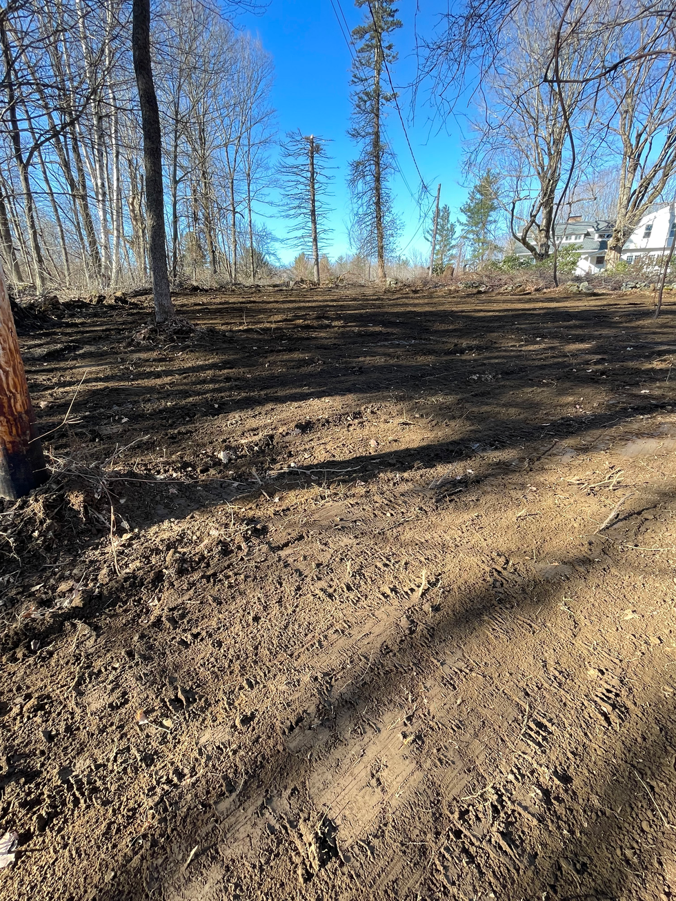 Front yard expansion project