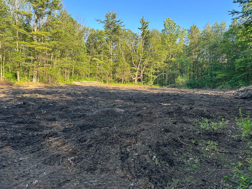 Cleared 1/2 Acre Food Plot