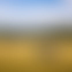 Hay que seguir cantando