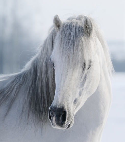 AdobeStock_58703860.jpeg