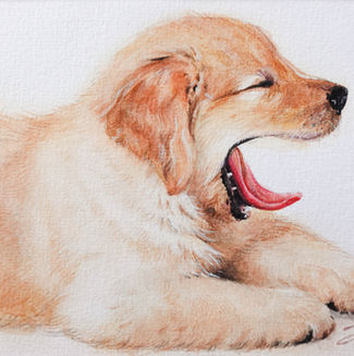 Watercolour, A5