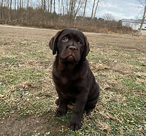 IMG_8464.JPG