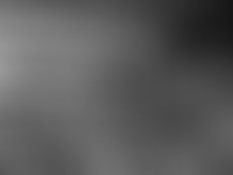 Freundschaft ist Liebe mit Verstand (17)