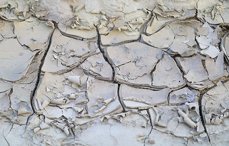 Les haies : une aide précieuse lors des sécheresses.