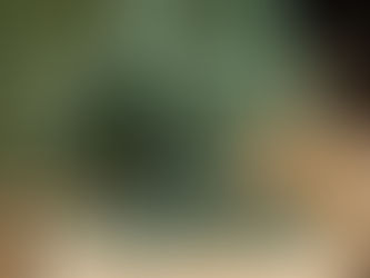 ◆「謹賀新年」練馬髪質改善トリートメント＆エイジングヘアケア・ヘッドスパ練馬専門サロン/練馬美容室、美容院シフィ(sihui)