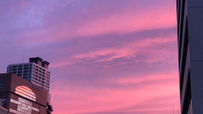 今週の休業日のお知らせです！！練馬駅前・駅近の美容室シフィ練馬/sihui(練馬美容室）