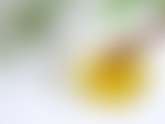 ◆「薄毛と関係がある2つの油」練馬髪質改善トリートメント&エイジングヘアケア・ヘッドスパ練馬専門サロン/練馬美容室、美容院シフィ(sihui)