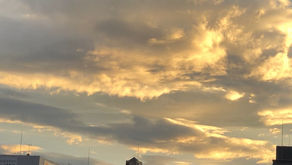 5/19(水）、5/20(木）は休業日とさせていただきます。練馬駅前・駅近の美容室シフィ練馬/sihui(練馬美容室）