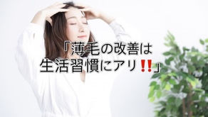 ◆「薄毛予防は生活習慣にアリ‼️」練馬髪質改善トリートメント&エイジングヘアケア・ヘッドスパ練馬専門サロン/練馬美容室、練馬美容院シフィ(sihui)